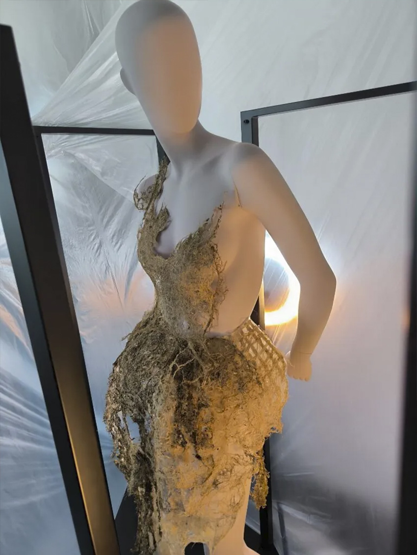 El vestido de raíces y trigo de un diseñador venezolano que ganó en los GreenWalk Awards