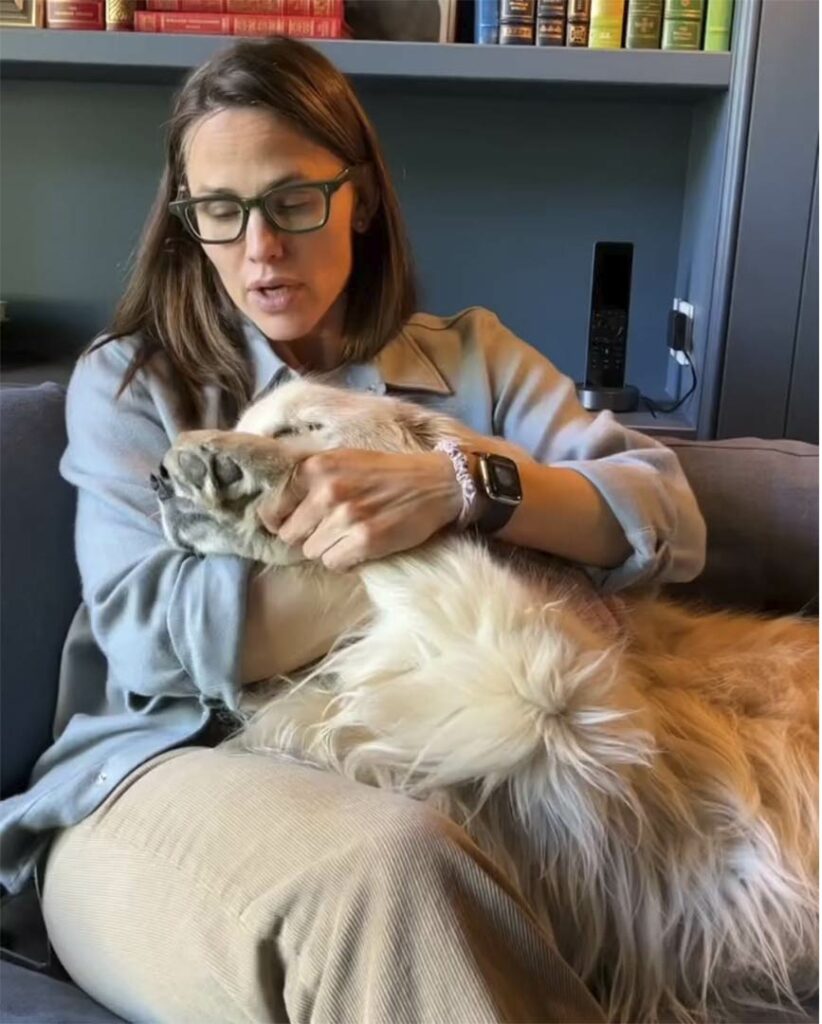 Muere Birdie, la amada mascota de la actriz Jennifer Garner