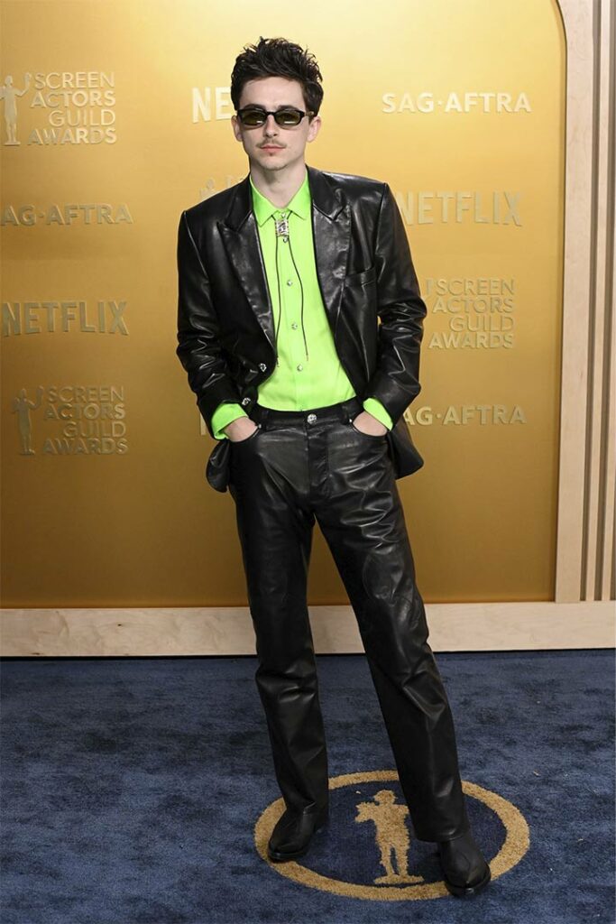 Los mejores looks de la alfombra azul de los Premios SAG 2025