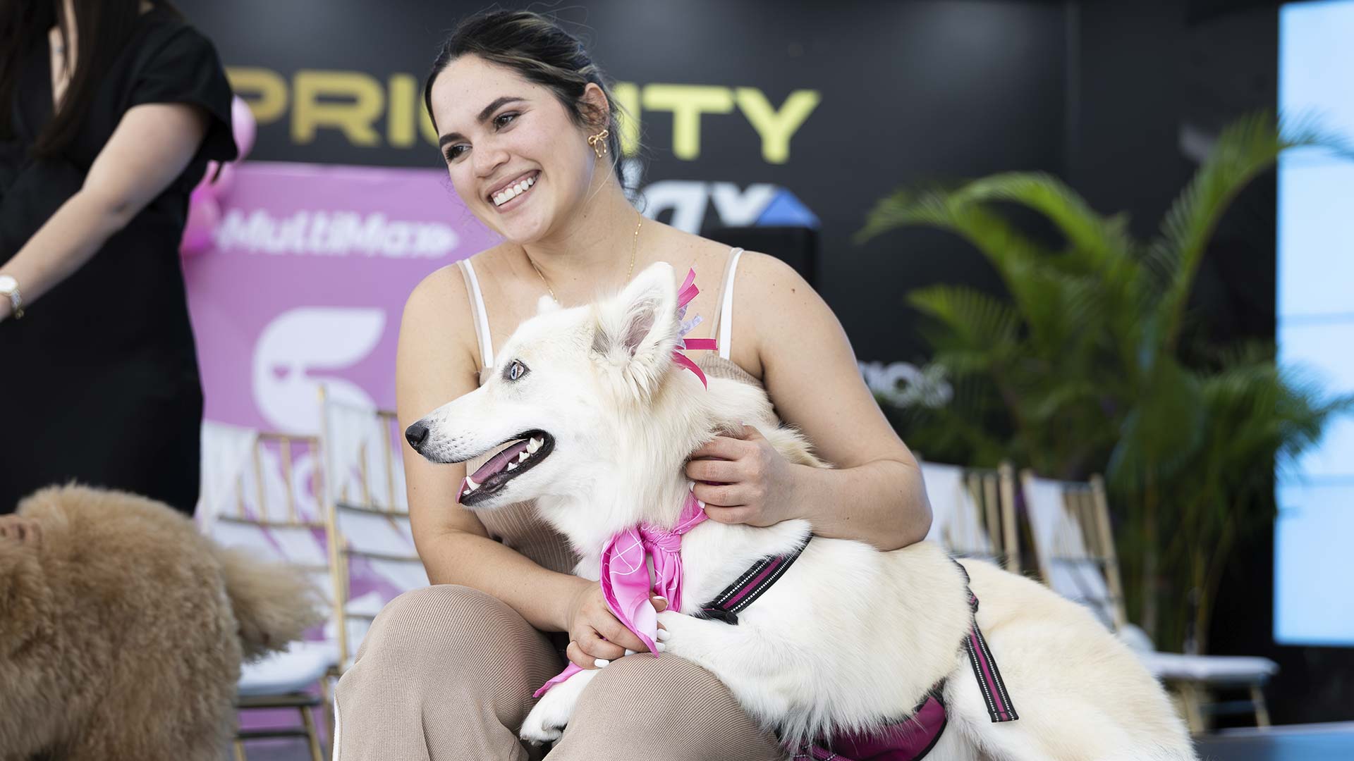Chiqui+ llegó a Multimax con una icónica pasarela de moda canina