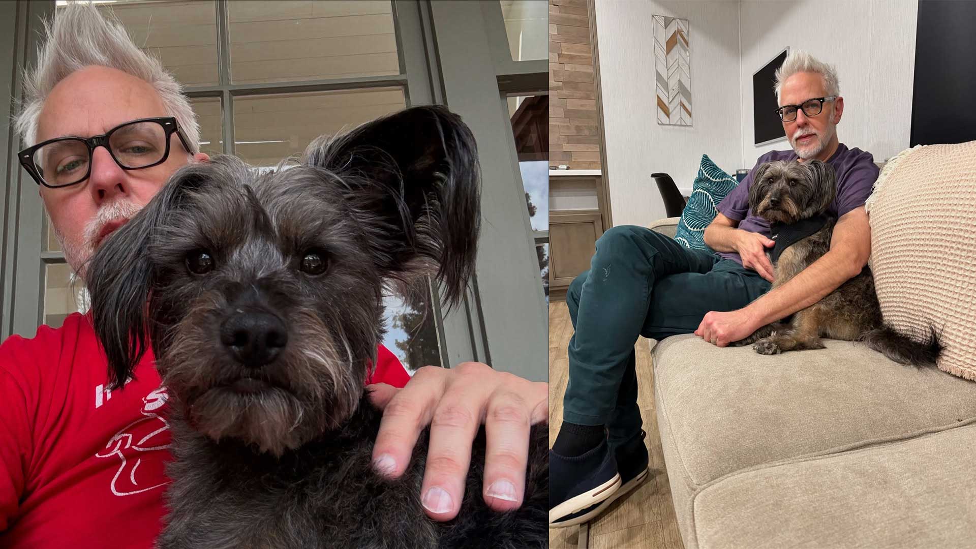 Krypto de Superman impulsa la adopción de perros en el mundo