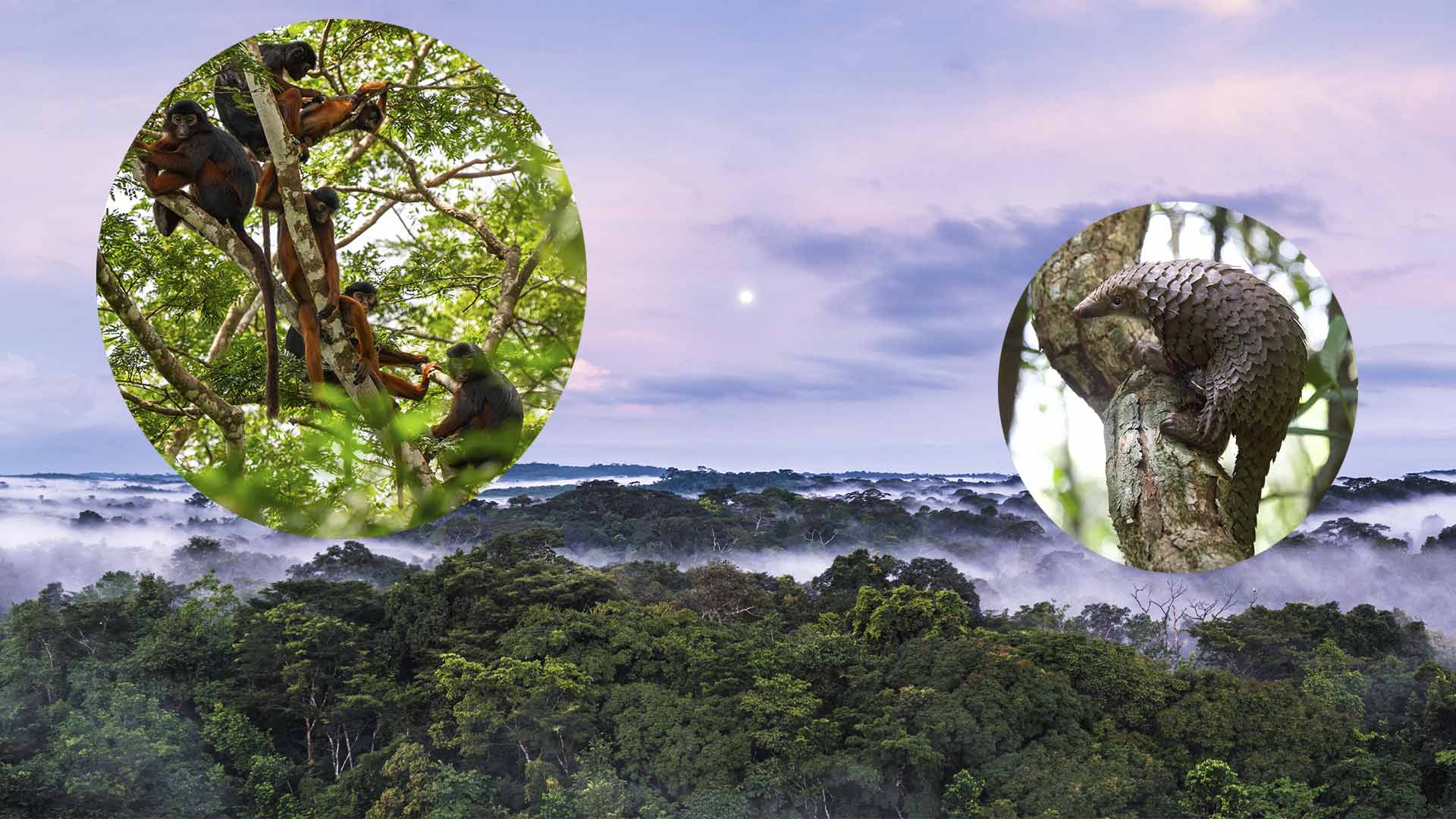 Lista completa de los patrimonios mundiales de la UNESCO 2025