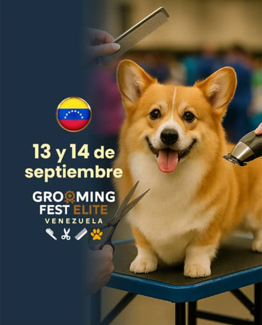 El Grooming Fest Venezuela 2025 se celebrará en Valencia