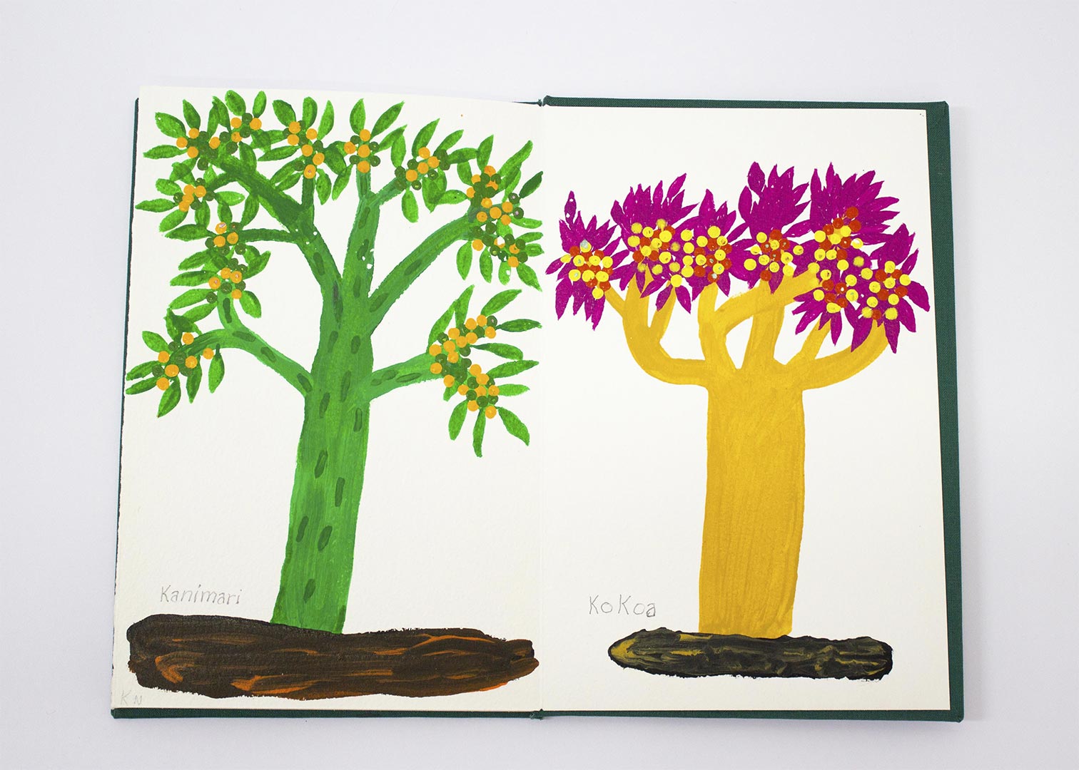 Exposición del artista indígena Sheroanawe Hakihiiwe en Caracas
