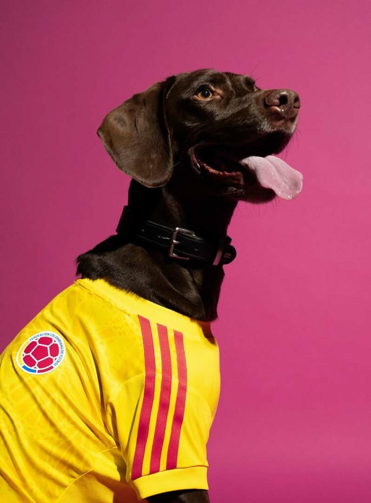 adidas lanza camisetas mundialistas para perros