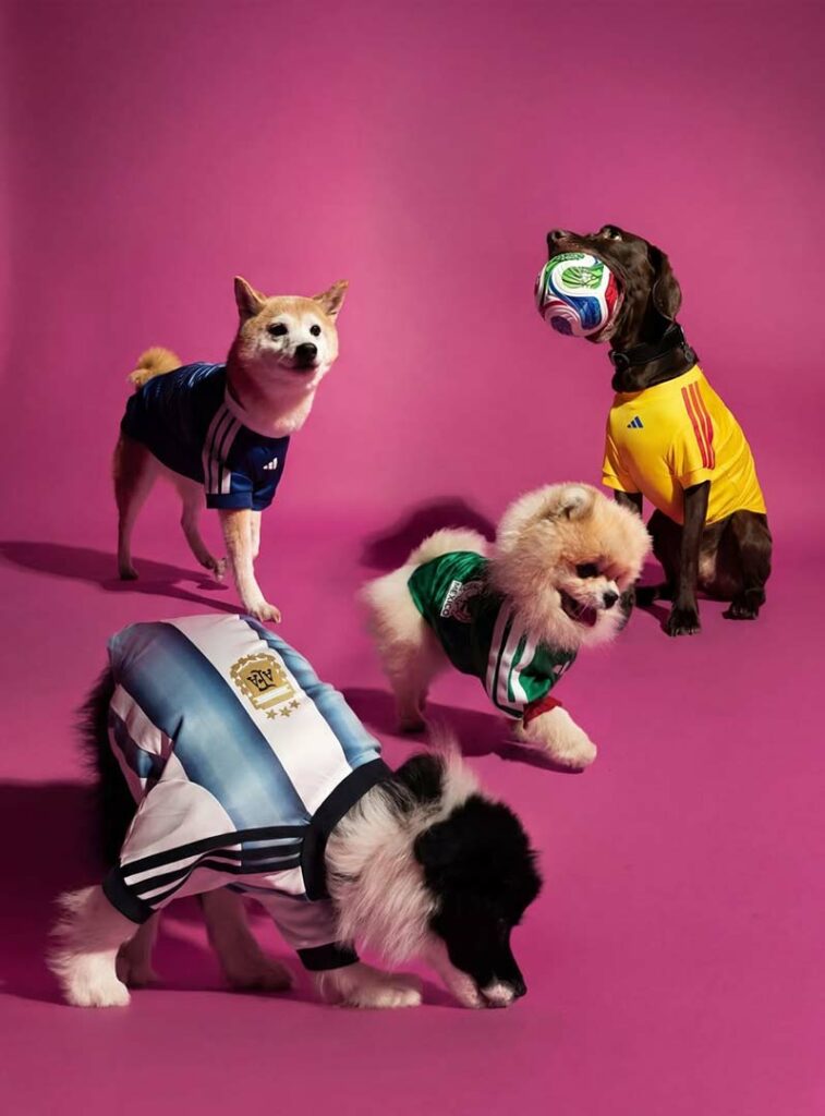 adidas lanza camisetas mundialistas para perros